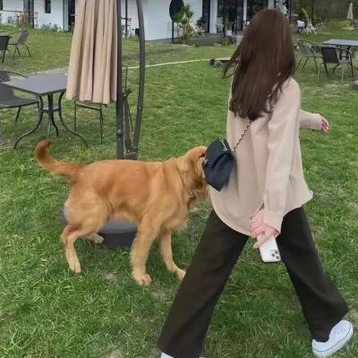 进入你的舞蹈