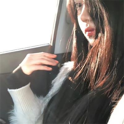 狮子护卫队第一季